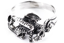 Kategoriebild Drachenringe