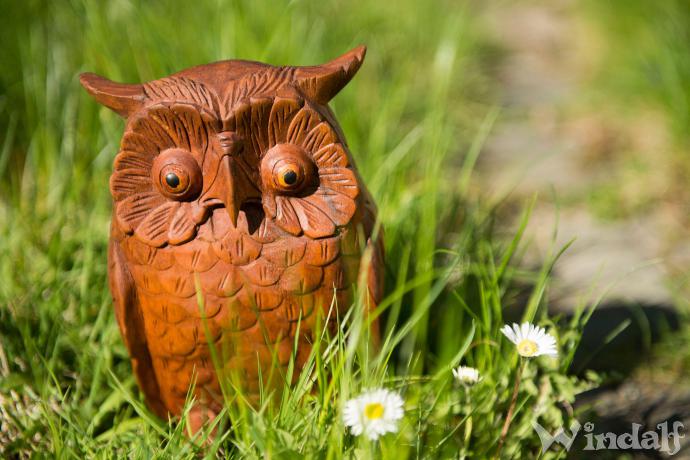 WINDALF Holzfigur Eule OZZY 30 cm Eulen Deko Handgearbeitet aus Holz