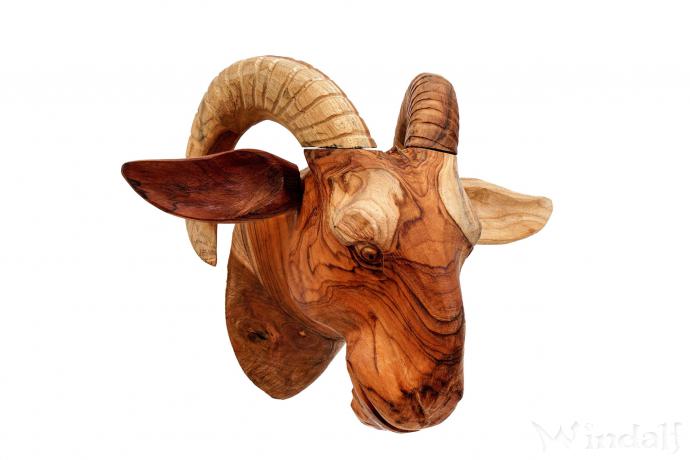 WINDALF Der Wilde Mann PAN 46 cm Krafttier Ziegenbock Celtic Waldgott Handarbeit aus Holz WINDALF Der Wilde Mann PAN 46 cm Krafttier Ziegenbock Celtic Waldgott Handarbeit aus Holz - Windalf.de