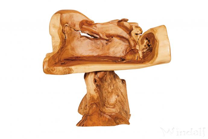 WINDALF Rustikaler Holz-Stuhl mit Delfin ARYMA 82 cm Tropischer Armsessel Handarbeit aus Wurzelholz - Windalf.de