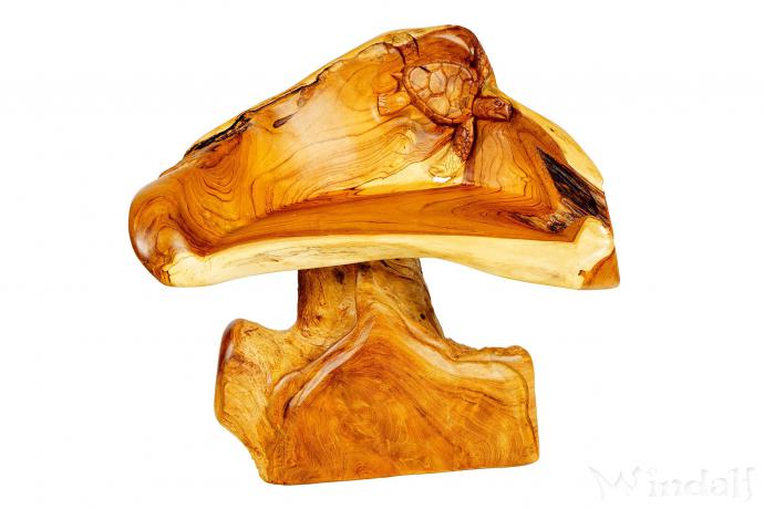 WINDALF Natur Holz-Stuhl mit Schildkröte MORLA 75 cm Rustikaler Küchen Armsessel Handarbeit aus Wurzelholz - Windalf.de