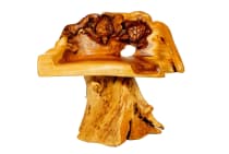 WINDALF Garten Sessel mit 2 Schildkröten ALUIN  75 cm Rustikaler Natur Holzstuhl Holzbank Handarbeit aus Wurzelholz WINDALF Garten Sessel mit 2 Schildkröten ALUIN  75 cm Rustikaler Natur Holzstuhl Holzbank Handarbeit aus Wurzelholz - Windalf.de